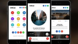 Circle WordPress