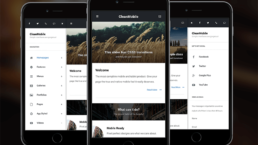 Clean Mobile WP