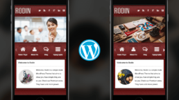 rodin mobile