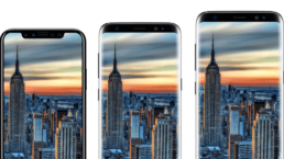 bezel less mobile