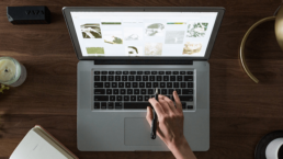 free stock photos